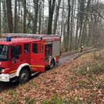 signal-2025-12-04-11-08-40-254