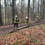 signal-2025-12-04-11-09-17-706