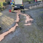 signal-2026-03-12-18-16-08-234-1